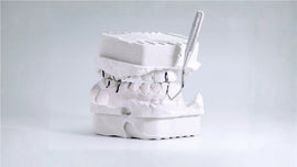 Dental > Impression Materials > Dental Plaster