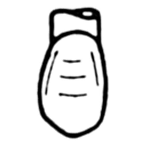Odus pella refill R3 loose Each