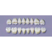 MYERSON DURA POST #28L/62 (1x8CARD) Card