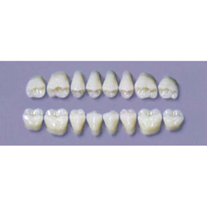 Myerson Dura Post #28L/E (1X8 Card) Each Card