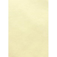 SPEC. PARCHMENT NATURAL 90GSM A4 100/PK Pack