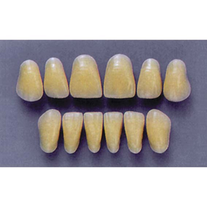 ULTRADENT ANT. A25/A3 LOWER (1x6 CARD) Card