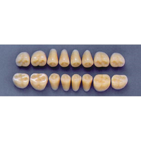 ULTRADENT POST. 31Z/A3 LOWER (1x8 CARD) Card
