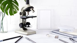 School > Science Lab > Biology