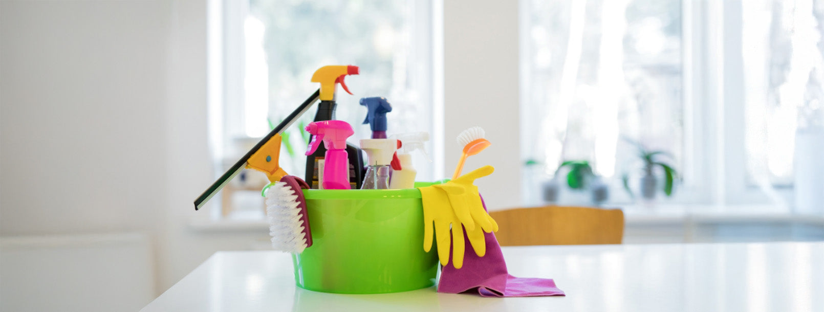 Cleaning & Hygiene