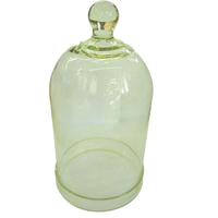 Livingstone Bell Jar With Knob
