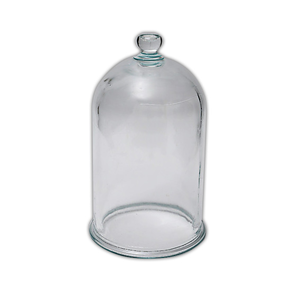 Livingstone Bell Jar Plate with Knob, 300 x 300(L) x 6(H) mm, Glass, Clear, Each Each