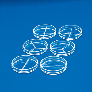 Livingstone Petri Dish