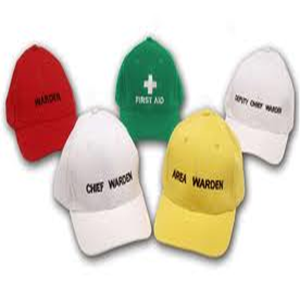 Area Warden Cap, Yellow, Embroidered, Each Each