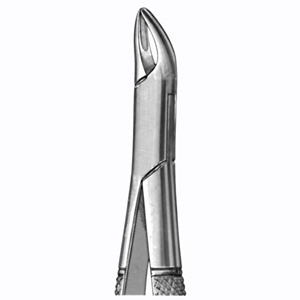 Adler Dental Extracting Forceps