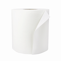 Sofeel Centrefeed Pull Paper Towel, Barrel Roll, Biodegradable, 1-Ply, 20cm x 300m, Non-Perforated, HACCP Certified, 6 Rolls/Ctn Carton