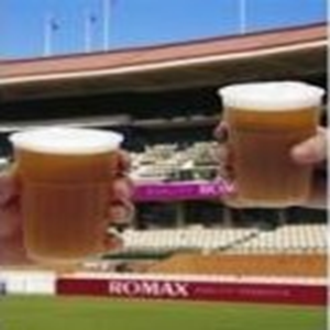 BEER STADIUM FROSTED CUPS, 425ML, 25/PACK Pack
