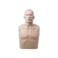 Brayden AdultManikin without Illumination, Each Each