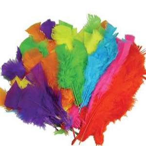 Feathers, Small, Assorted Colours, 50/Bag Bag