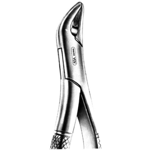 Livingstone Dental Extracting Forceps
