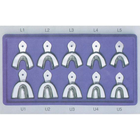 Livingstone Dental Impression Trays Adult Lower
