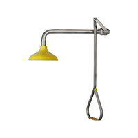 Speakman Emergency Deluge Shower, Wall Mounted, with Triangular Pendant, Stainless Steel, with Stay Open Valve, Each Each