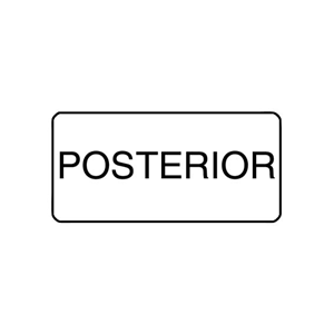 X-Ray Label 500/Box