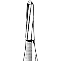 Jet 1169 Tungsten Carbide Burs, Taper Fissure, Dome Friction Grip, 009N, Each Each
