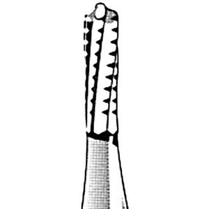 Kerr Jet 1556 Tungsten Carbide Burs