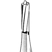 Straight Fissure Dome Each