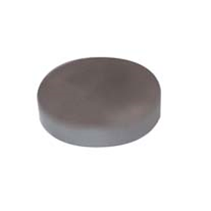 Livingstone Magnet Disc