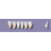 MYERSON ANTERIORS #12/70 (1x6 CARD) Card