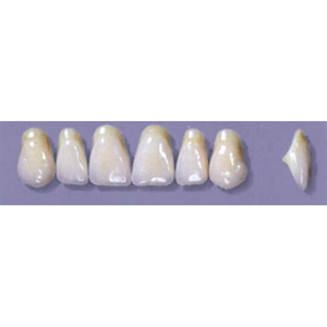 MYERSON ANTERIORS #A11/60 (1x6CARD) Card