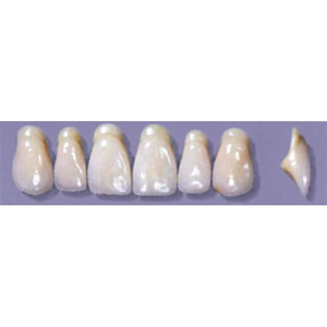 MYERSON ANTERIORS #A13/F (1x6 CARD) Card