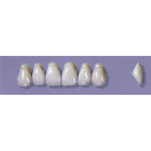 MYERSON ANTERIORS #A2/D (1X6 CARD) Card