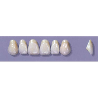 MYERSON ANTERIORS #A43/70 (1x6CARD) Card