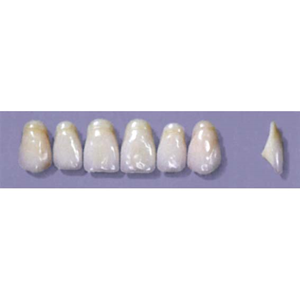 MYERSON ANTERIORS #A52/58 (1x6CARD) Card