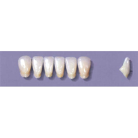 MYERSON ANTERIORS #A71/C (1x6 CARD) Card