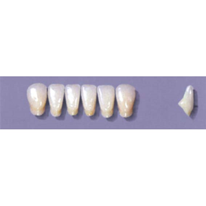 MYERSON ANTERIORS #A71/G (1x6 CARD) Card