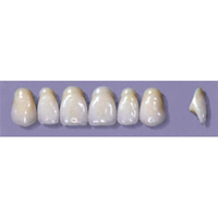 MYERSON ANTERIORS #A72/73 (1x6CARD) Card