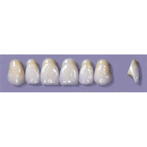 MYERSON ANTERIORS #A72/F (1x6 CARD) Card