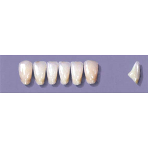 MYERSON ANTERIORS #A73/H (1x6 CARD) Card