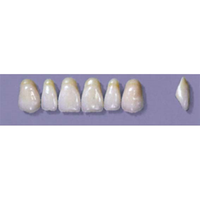 MYERSON ANTERIORS #A7/60 (1x6 CARD) Card