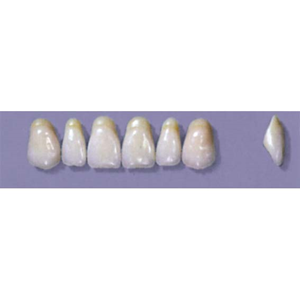 MYERSON ANTERIORS #A7/D (1x6 CARD) Card