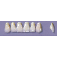 MYERSON ANTERIORS #A9/70 (1x6 CARD) Card