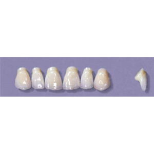 MYERSON ANTERIORS #PM2/62 (1x6CARD) Card