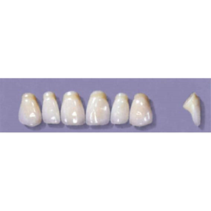 MYERSON ANTERIORS #PM4/G (1x6 CARD) Card