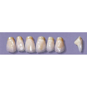 MYERSON ANTERIORS #PM6/60 (1x6CARD) Card