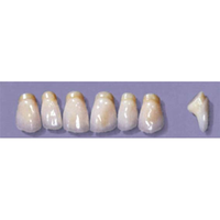 MYERSON ANTERIORS #PM6/70 (1x6CARD) Card