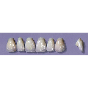 MYERSON ANTERIORS #PW2/F (1x6 CARD) Card