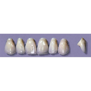 MYERSON ANTERIORS #PW4/D (1x6 CARD) Card