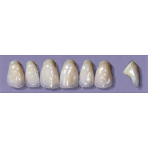 MYERSON ANTERIORS #PW6/65 (1x6CARD) Card