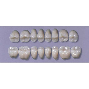 MYERSON DB SYN POST #28LSL/ D (1x8 CARD) Card