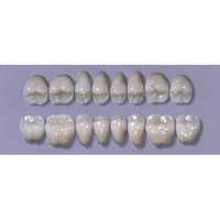 MYERSON DB SYN POST #28ML/G (1x8 CARD) Card