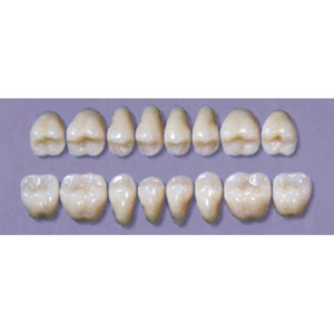 MYERSON DB SYN POST #30MU/I (1x8 CARD) Card